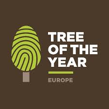 Evropský strom roku 2019 - výsledky hlasování