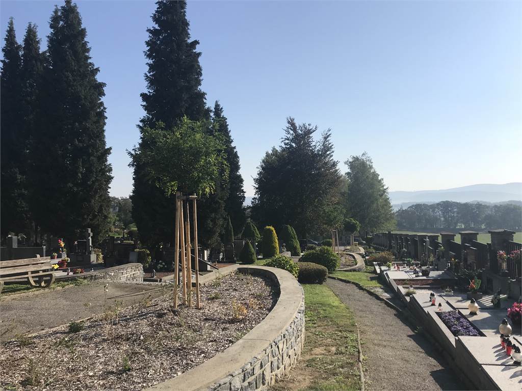 Obnova zeleně na "novém" hřbitově